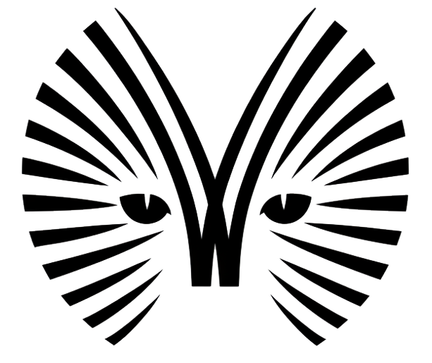 Whiskers Free Projection Mapping App for videos, pics and interactive canvas content - made with ZIM