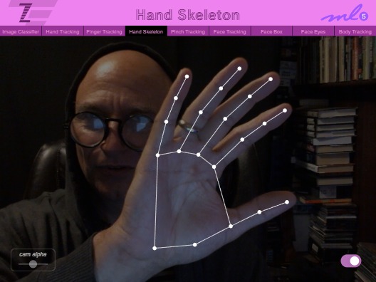 Zapp: <span style=color:#995599>018</span><br>ZIM - ML5 Hand Skeleton | ZIM JavaScript Canvas Framework - Code Creativity