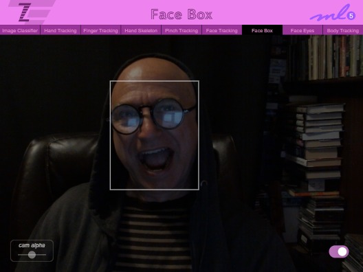 Zapp: <span style=color:#995599>018</span><br>ZIM - ML5 Face Box | ZIM JavaScript Canvas Framework - Code Creativity