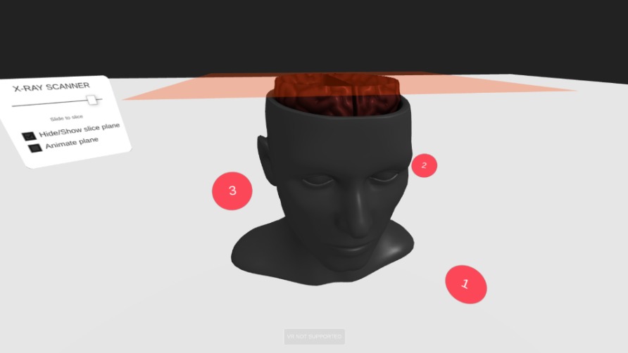 Zapp: slice plane threeJS : brain_in_head (+hide/show plane) 3D+annotations | ZIM JavaScript Canvas Framework - Code Creativity