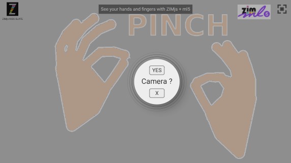 Zapp: ZIM+ml5 hands PINK skeleton: only showing hands with nails! (no game) | ZIM JavaScript Canvas Framework - Code Creativity